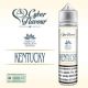 Cyber Flavour Shot Tabacco Distillato per Pod Kentucky 20ml